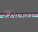 Ford Bronco Heritage Style  Upper Door Stripes - Retro/Vaporwave/Custom Color 2DR/4Dr